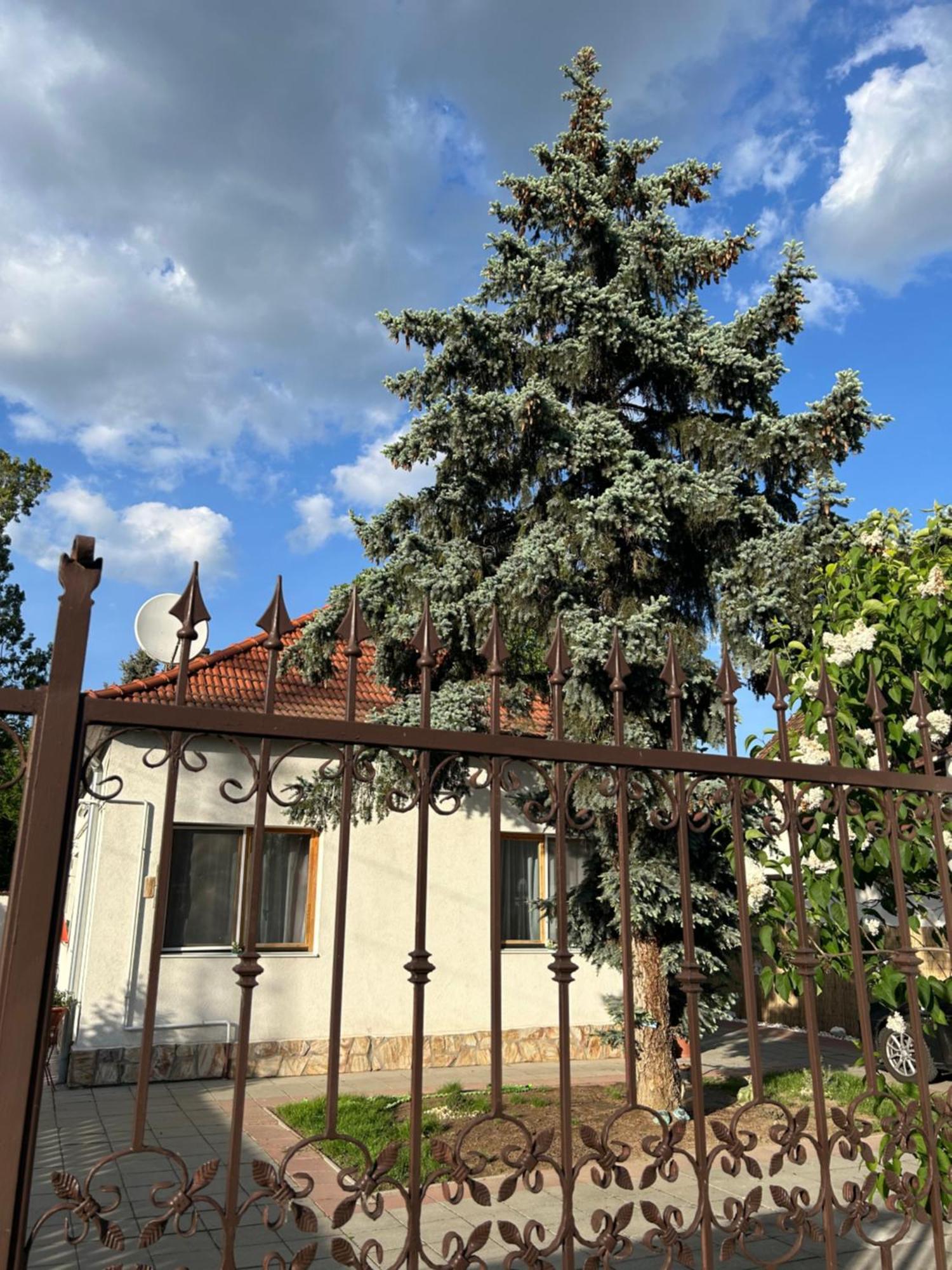 Tavaszpart Vendeghaz Apartment Seghedin Exterior foto